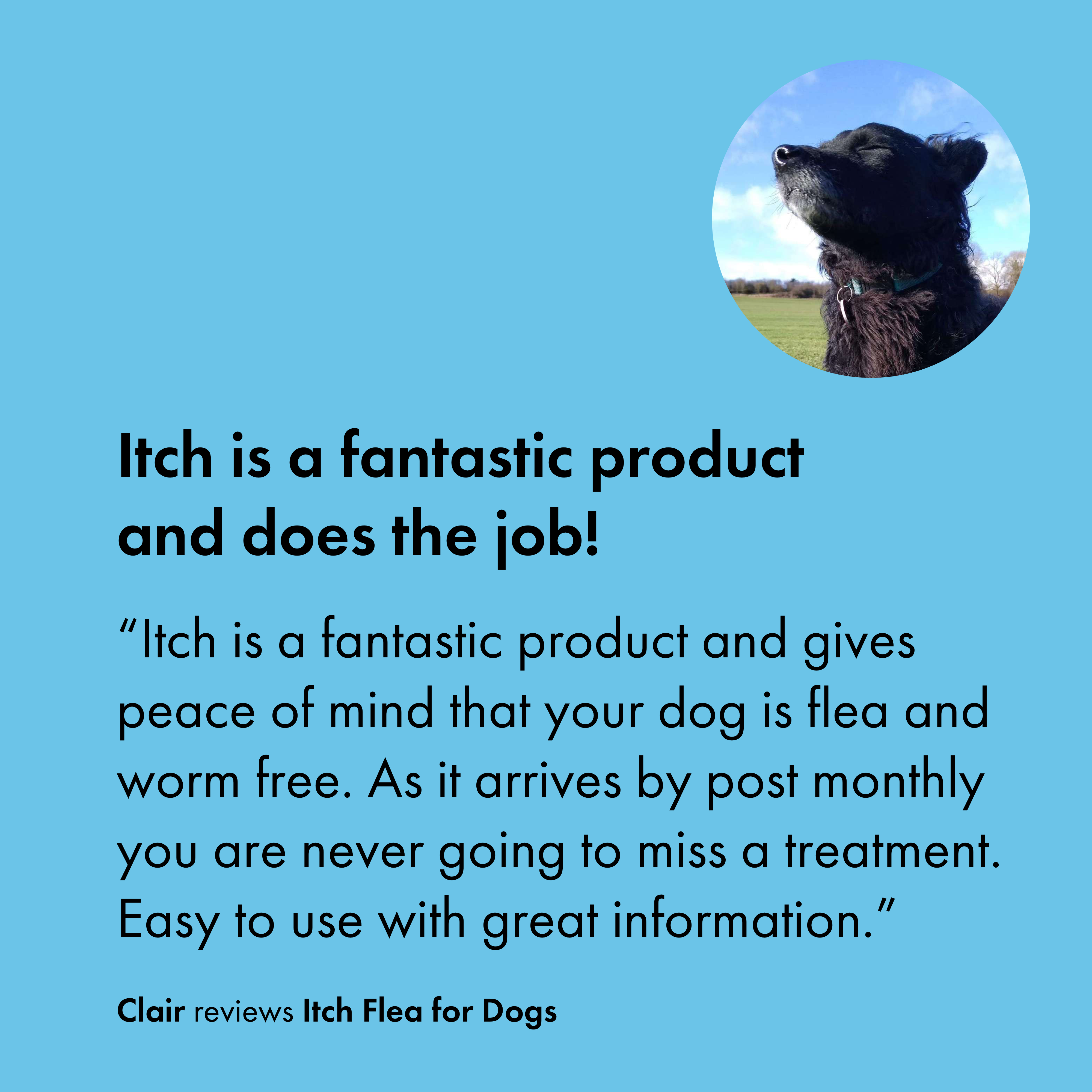 Customer review of Itch Flea subscription