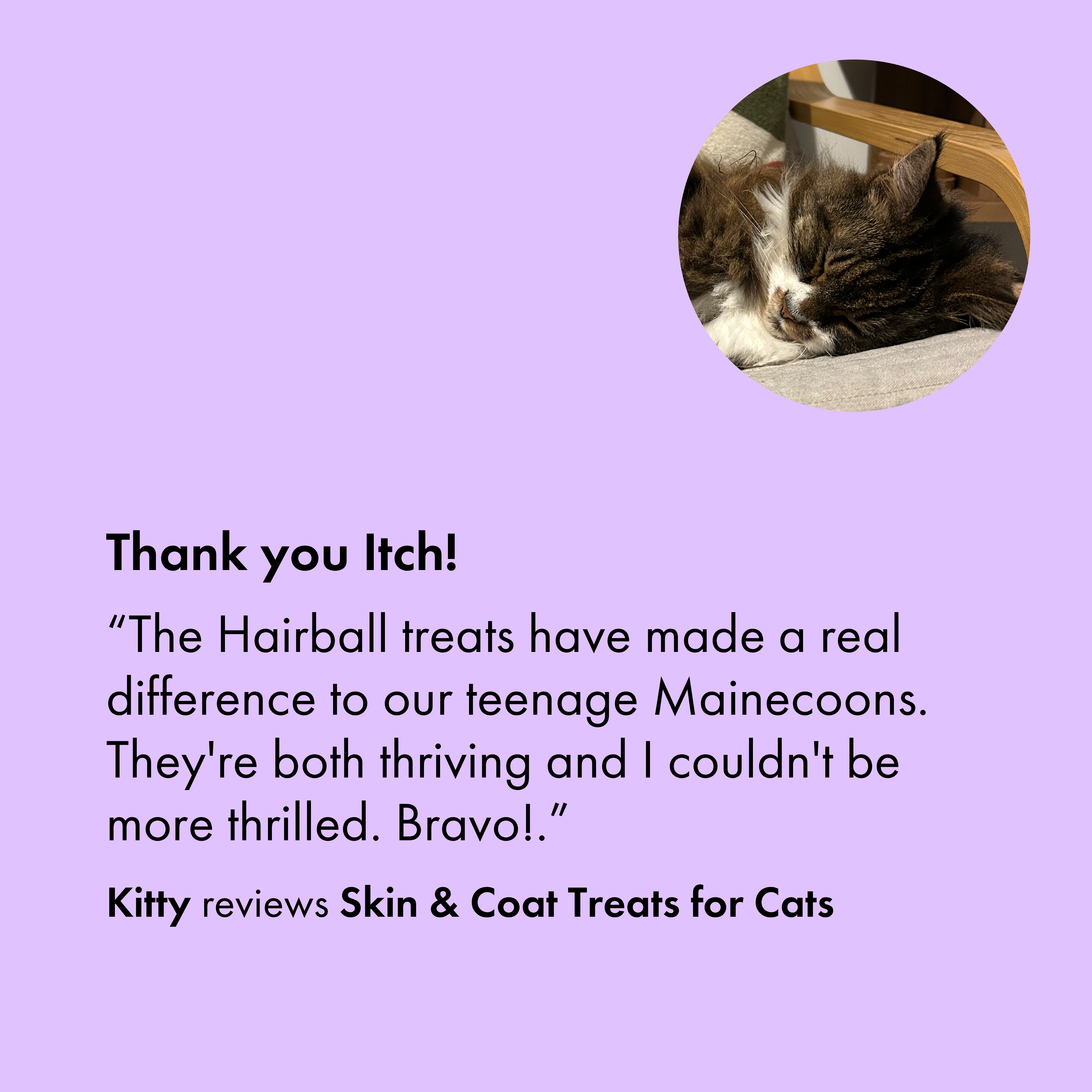 Itch Furball treats, treats to breakdown hairballs for cats - customer review