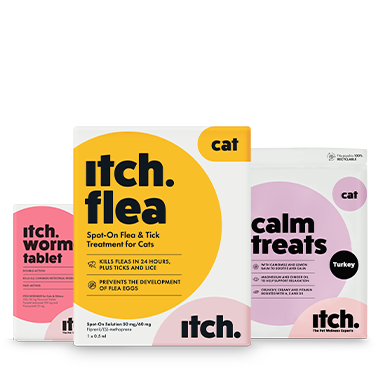 Itch Flea and worming treatments with healthy pet treats for cats