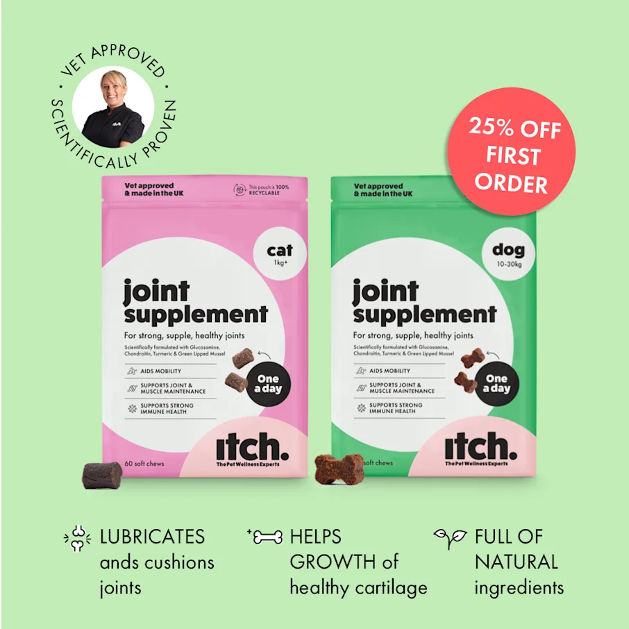 Itch Jump For Joy Chews, Soft Chew supplements for cats and dogs, Image of box with treat 25% off first order