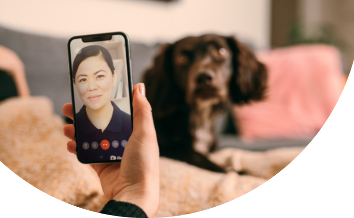 Itch Insure Pet Insurance for Cats & Dogs Itch