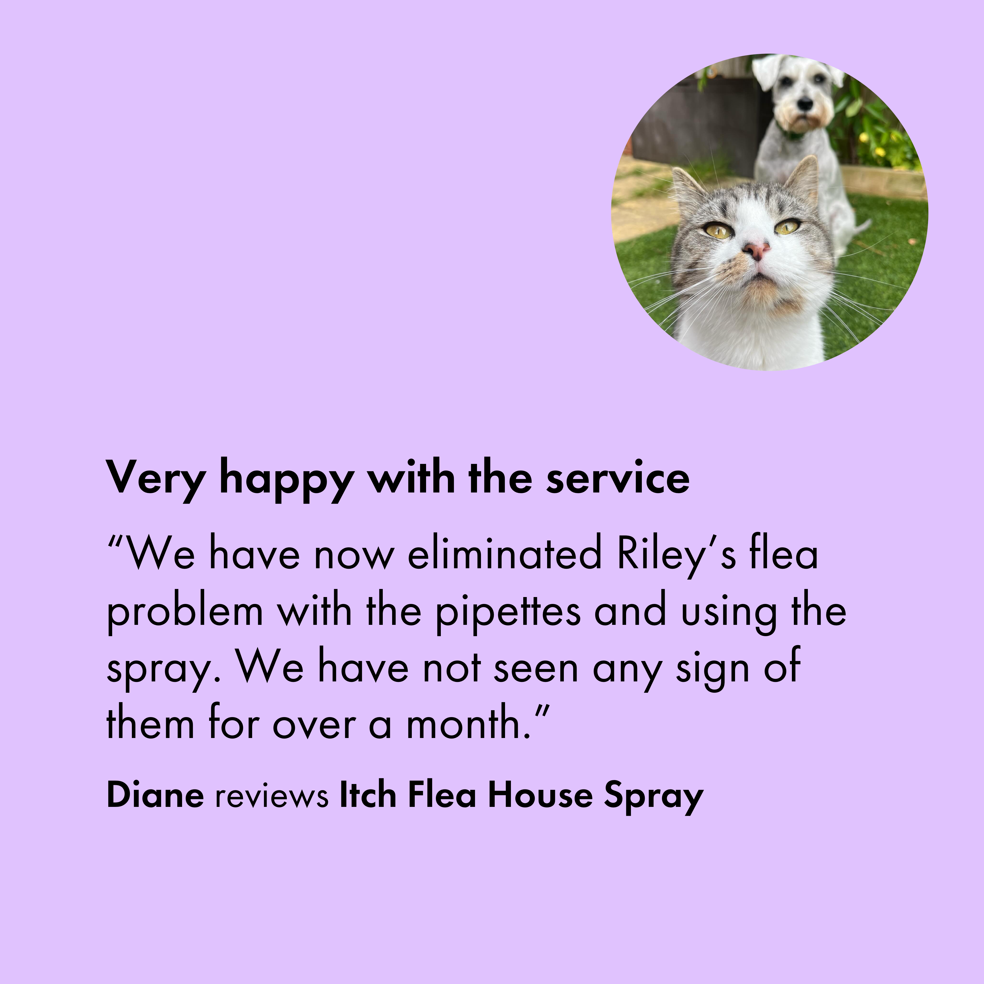 Itch Flea Home Spray, Flea, flea egg and dust mite household spray - Customer review