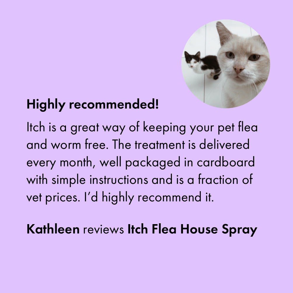 5 star customer review for Itch Flea House Spray