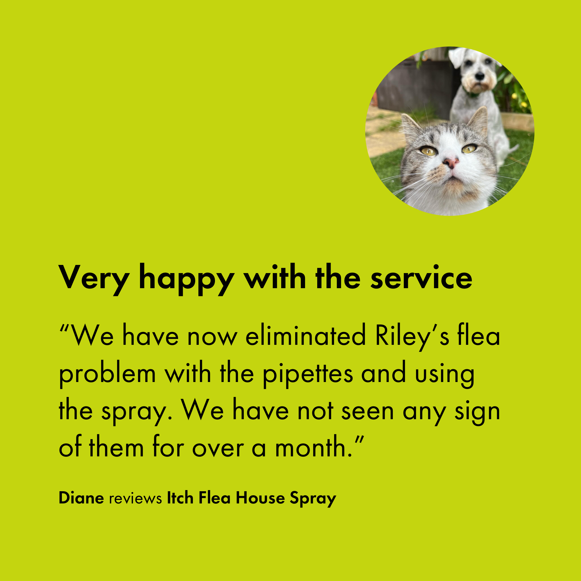 Itch Flea Home Spray, Flea, flea egg and dust mite household spray - Customer review