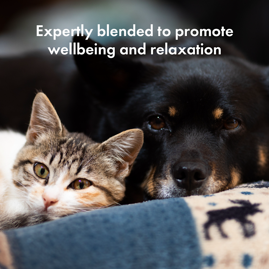 Calming Chews for Cats & Dogs | Chewable Supplement | Itch