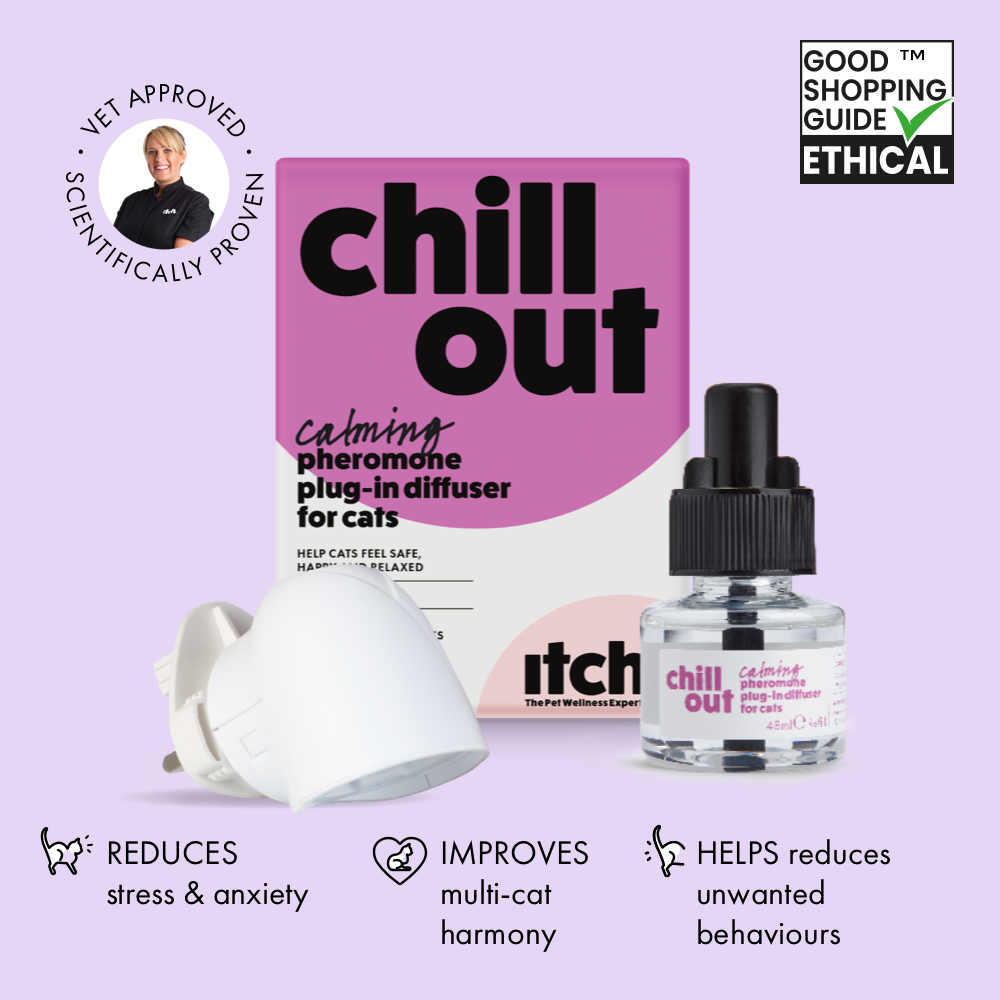 calming pheromones for cats