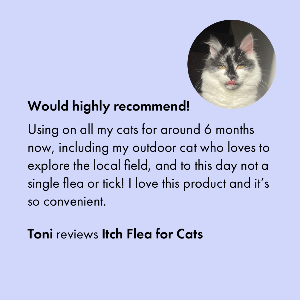 Flea and Tick Treatment for Cats Kills Fleas, Eggs and Ticks Itch
