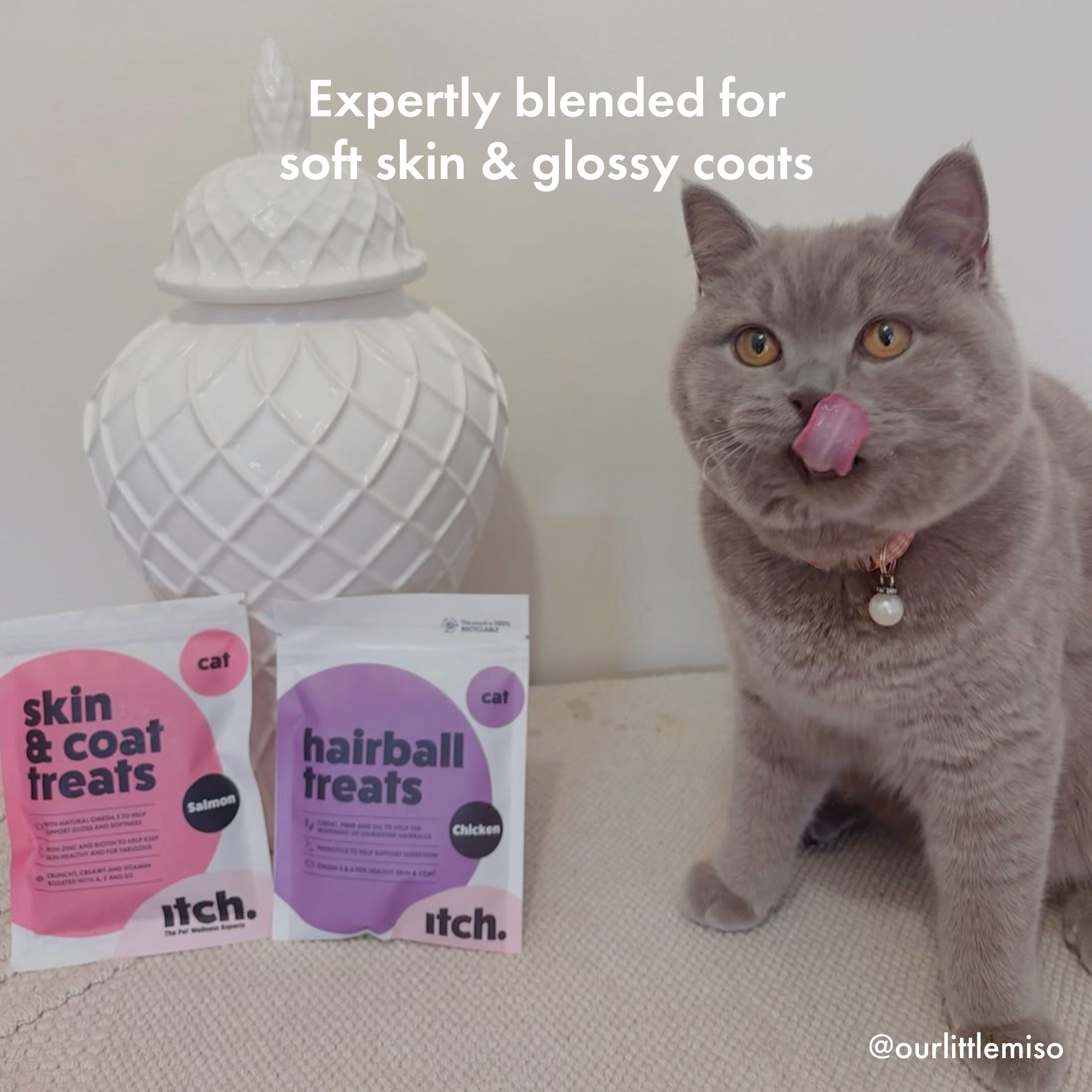 Itch Skin & Coat Treats for Cats, how they help
