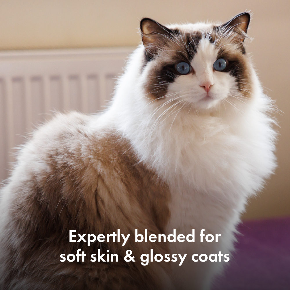 Itch Skin & Coat Treats for Cats, how they help