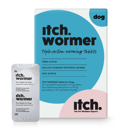 Itch Wormer for dogs, triple-action worming tablets, image of Itch Wormer dog packaging with foil