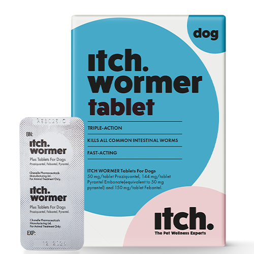 Itch Wormer for dogs, triple-action worming tablets, image of Itch Wormer dog packaging with foil