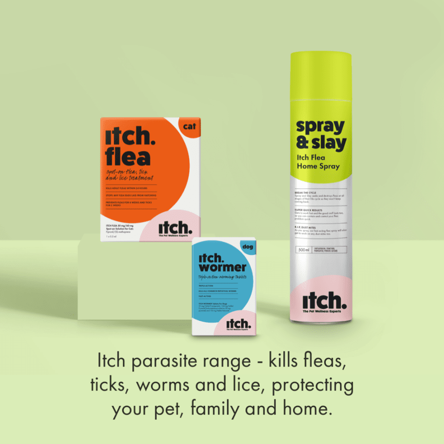 Itch Flea Home Spray, Flea, flea egg and dust mite household spray - image of can with product benefits