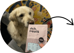 Itch homepage - image of pet with Itch Calming treats - customer plan