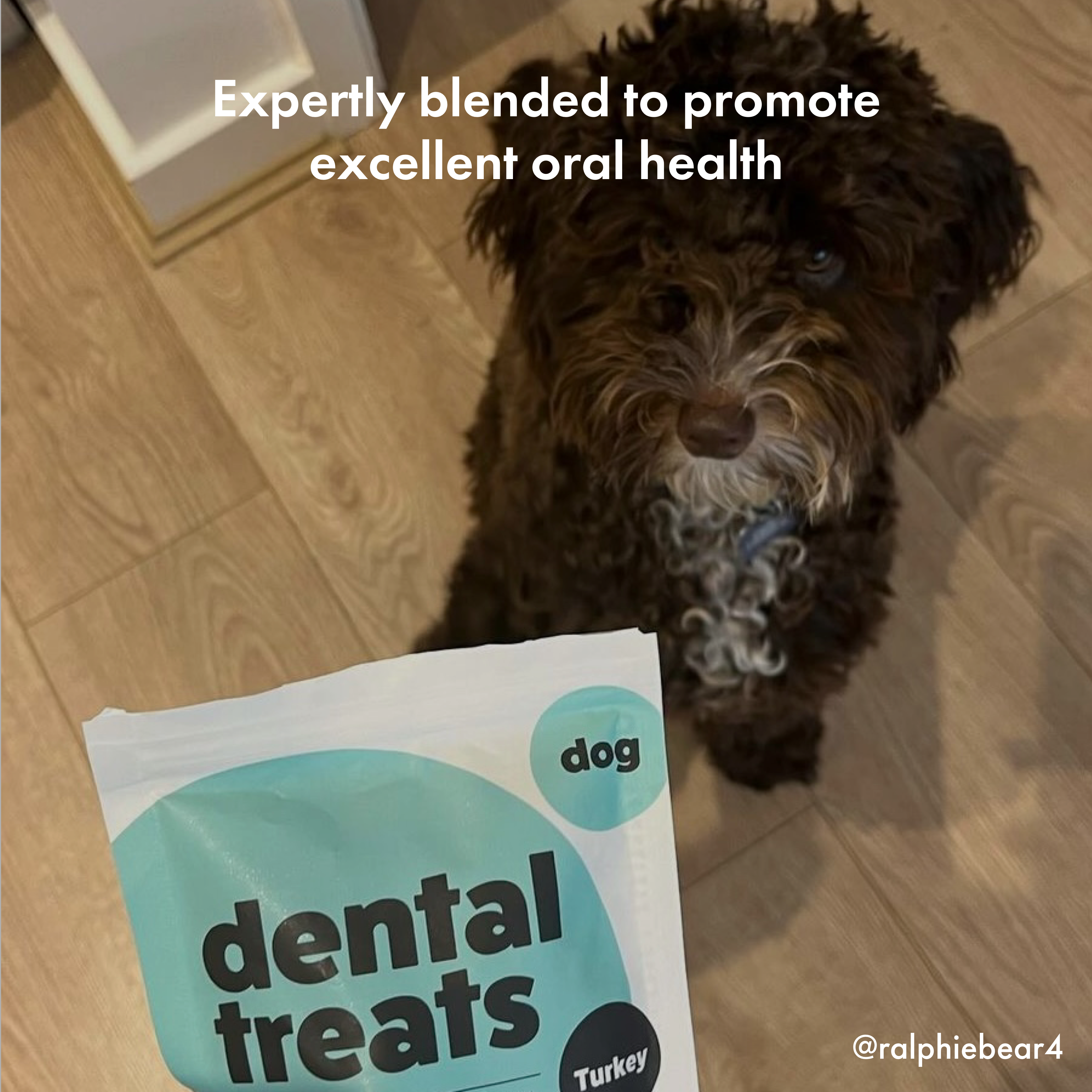 Itch Dental Treats for Dogs, image of dog eating treat, photo of dog being given treat