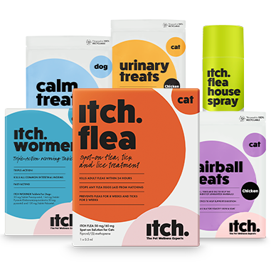 Itch pet wellness product range 