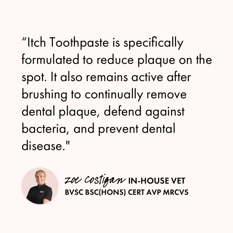 Itch Dental Toothpaste, Toothpaste for cats and dogs, packaging, vet quote