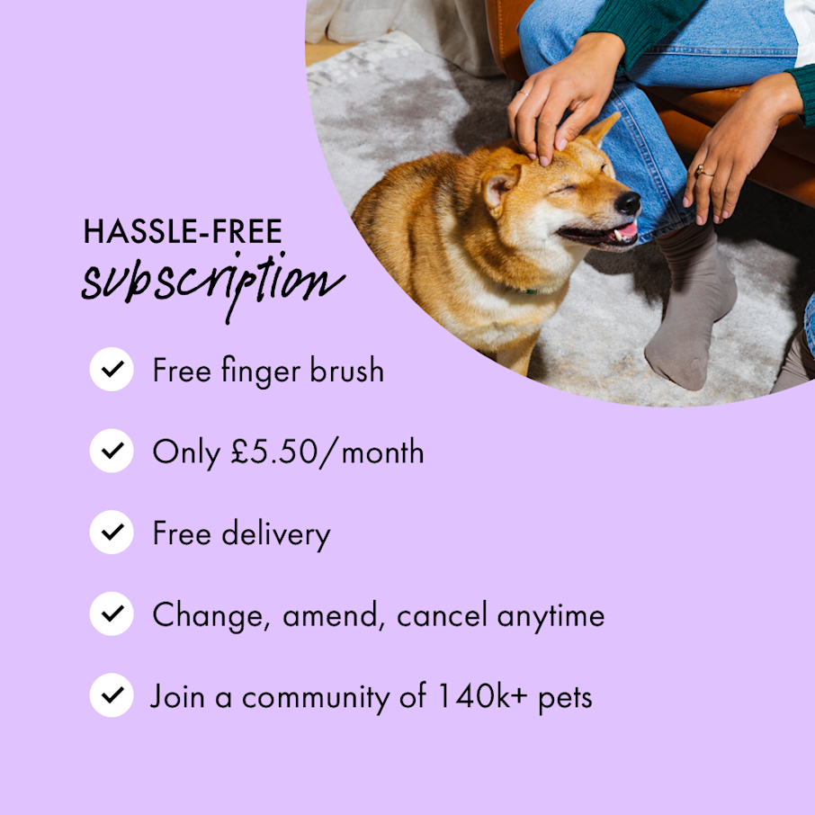 How Much Toothpaste Is Toxic To A Dog