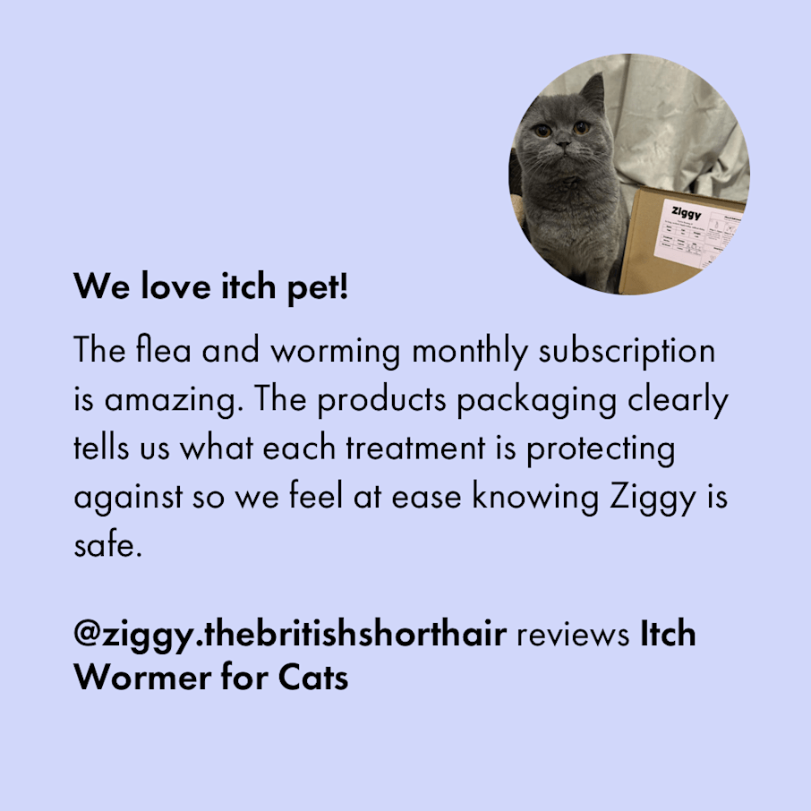 Cat scratching sales after flea medicine