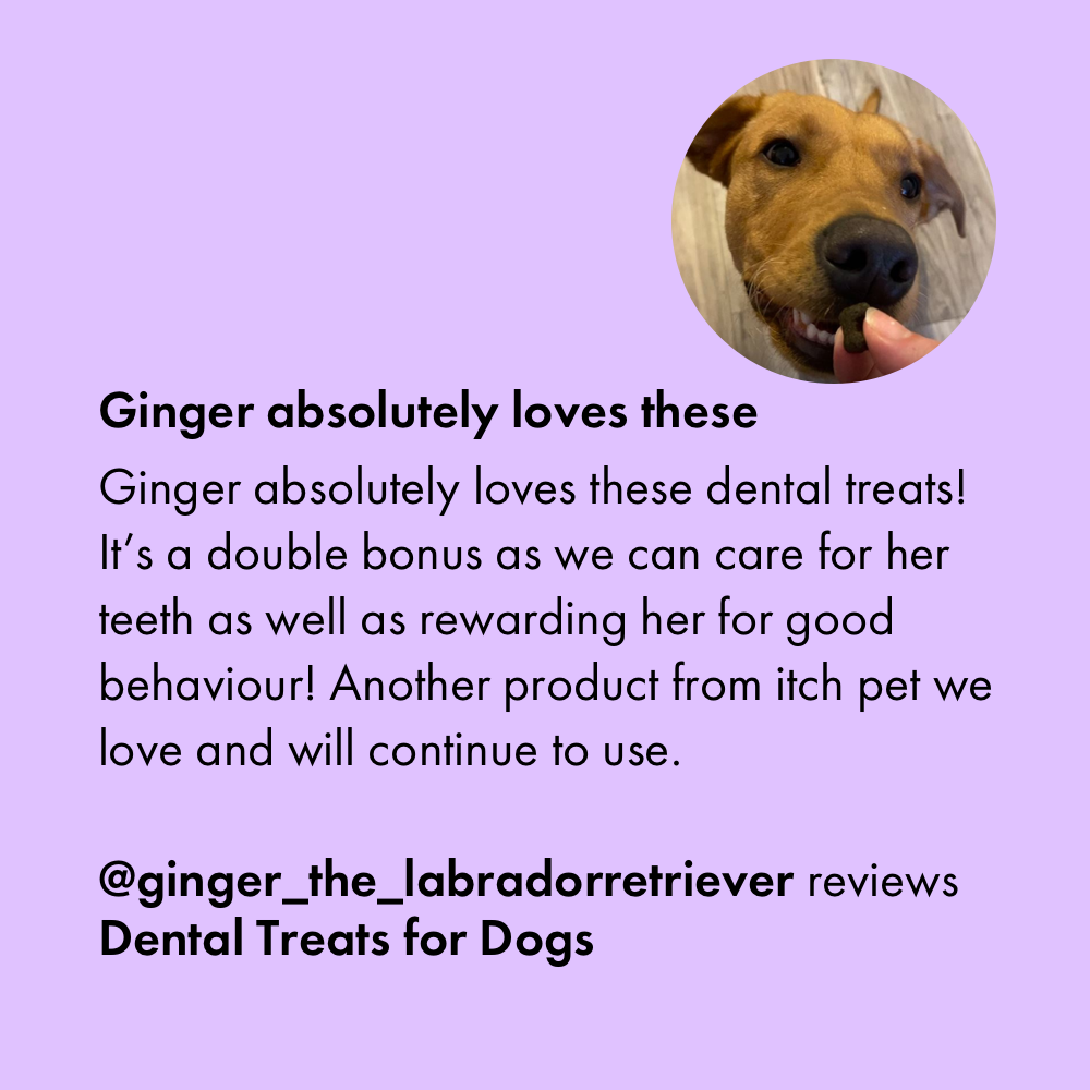 Itch Dental Treats for Dogs, customer review