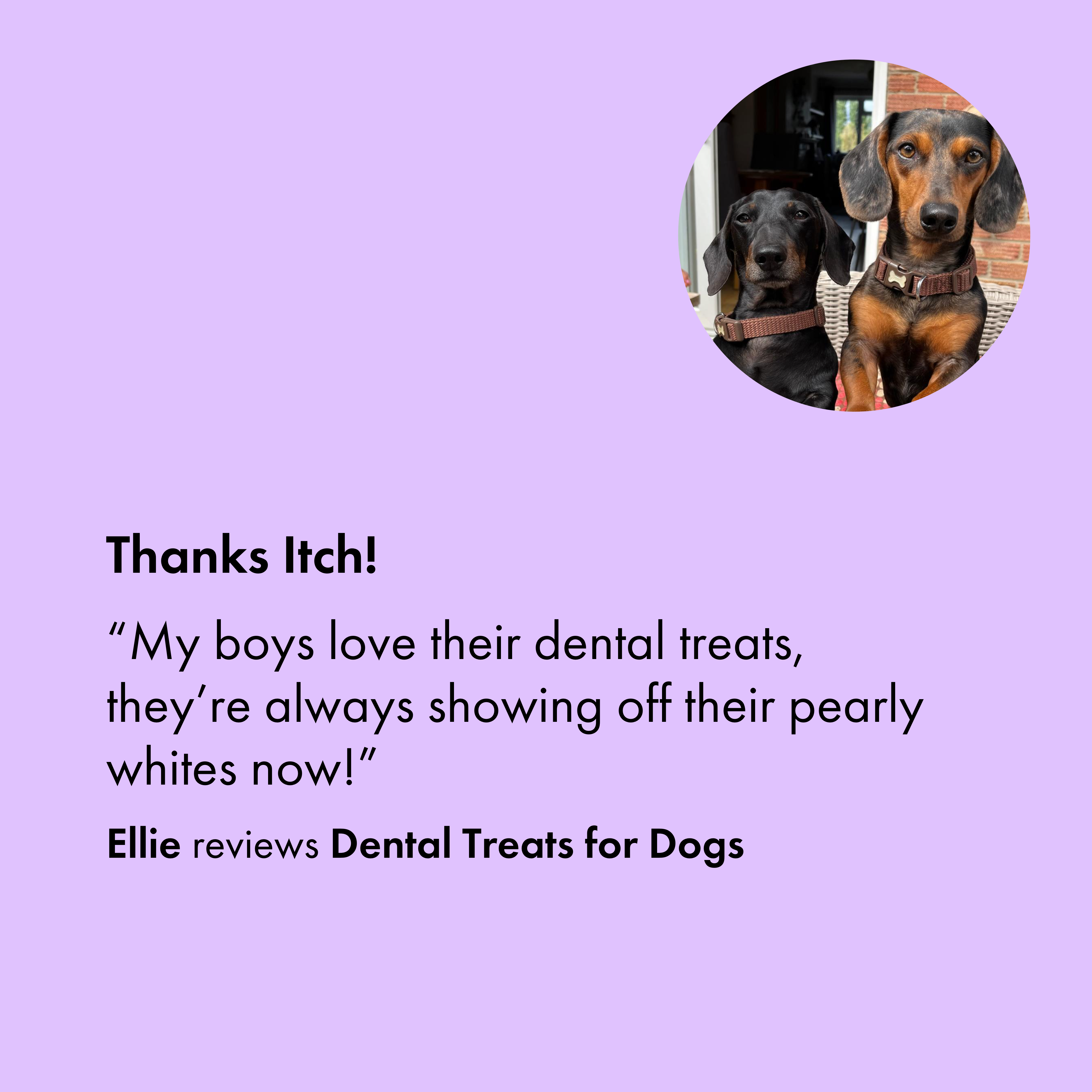 Itch Dental Treats for Dogs, customer review