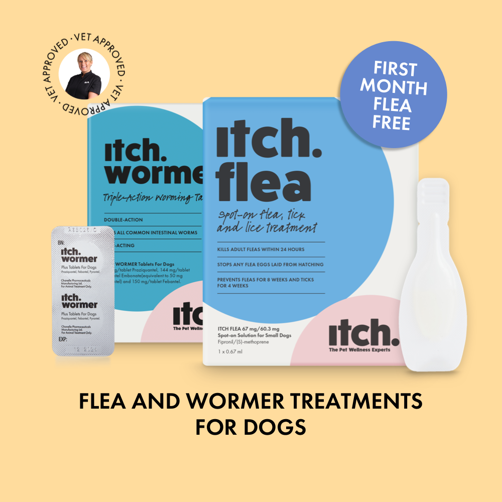 big w worming tablets