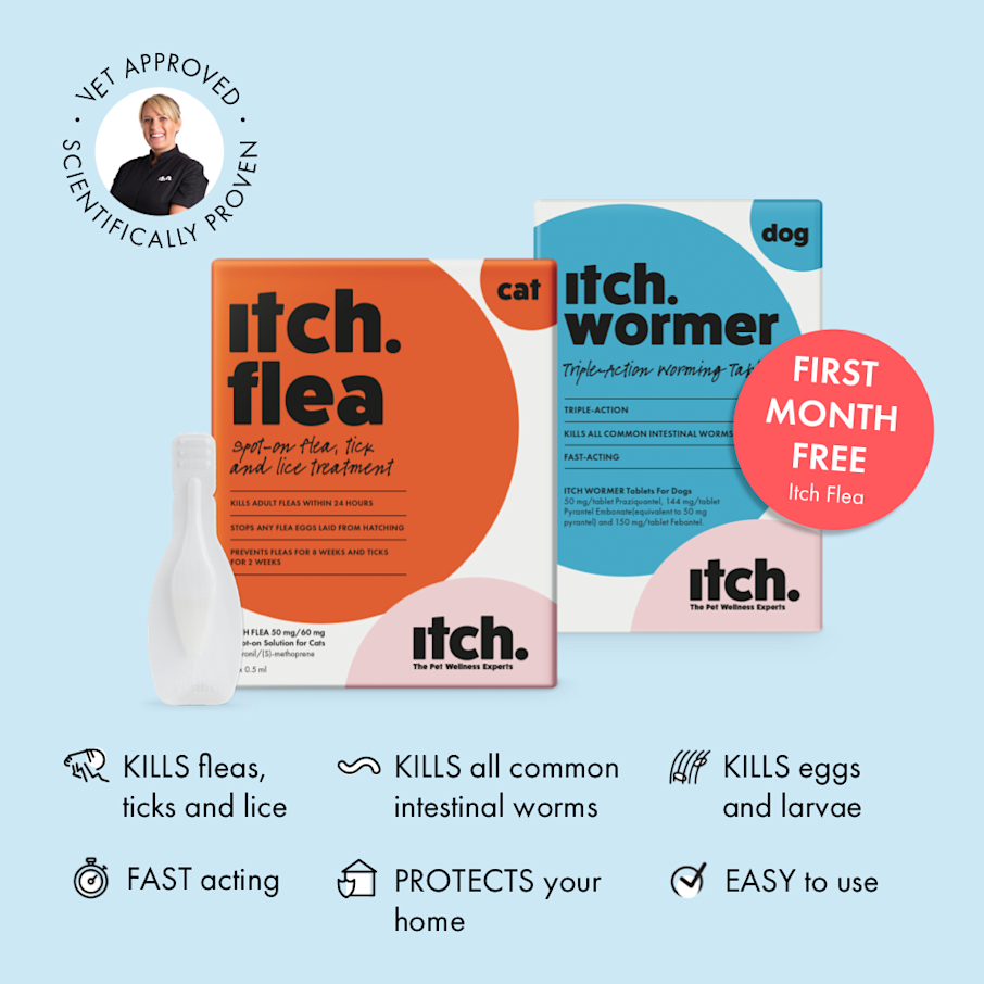 Illustration of Flea Itch Cream For Cats