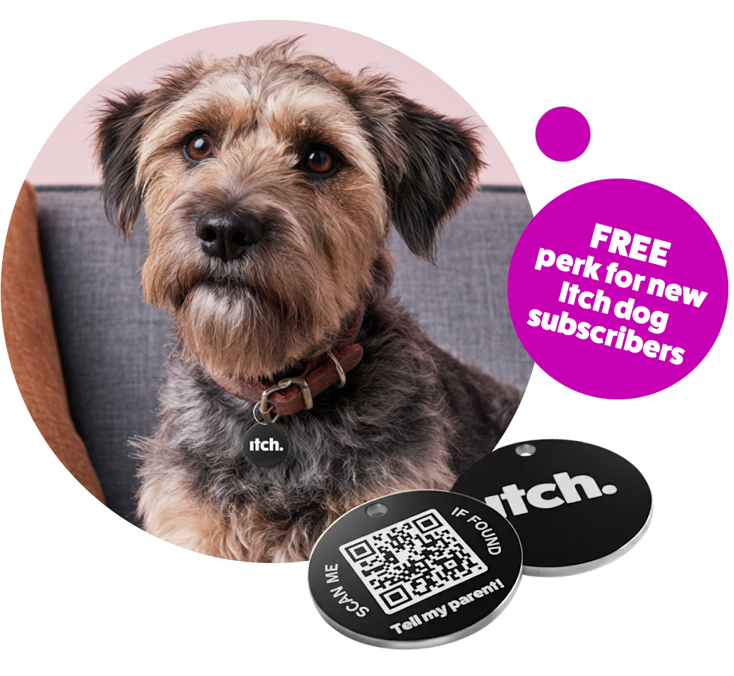 Itch Flea Tag - smart lost dog ID tag