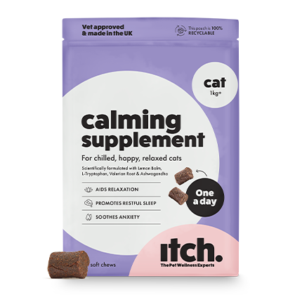 Calming supplements clearance for cats