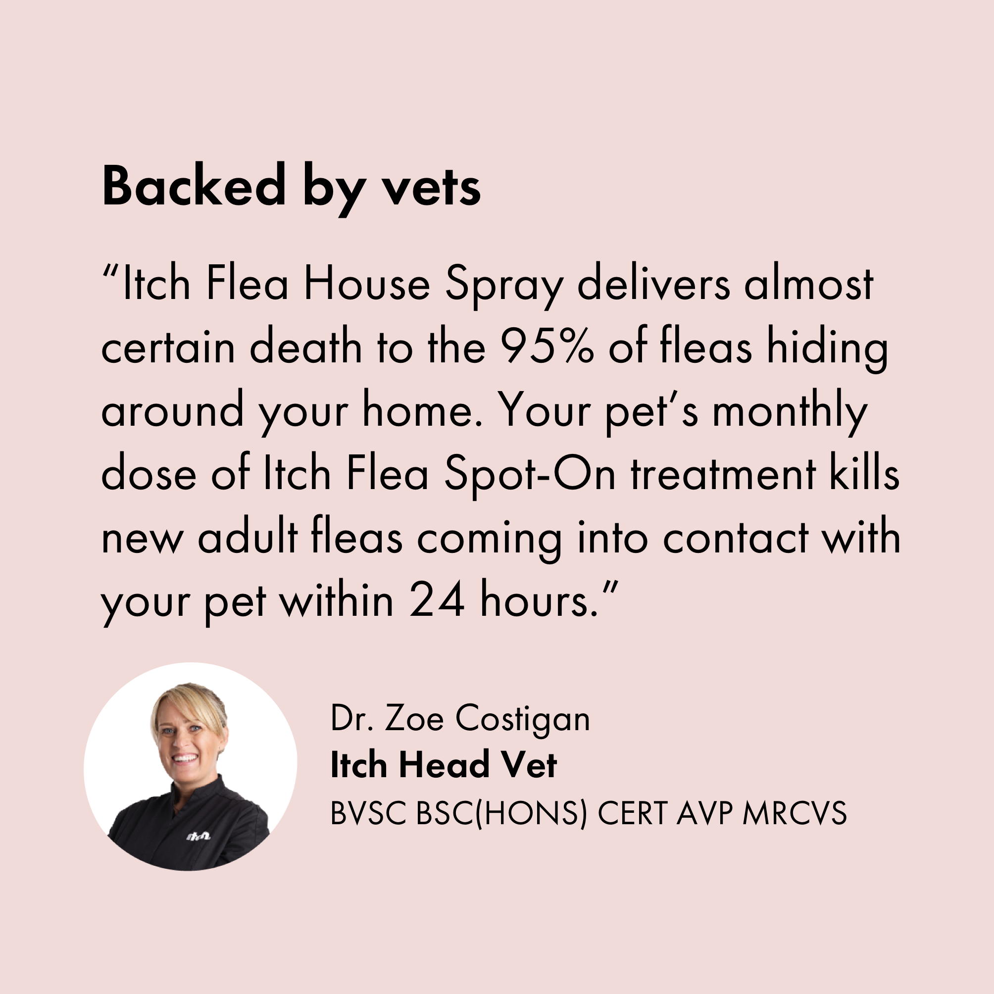 Head Vet at Itch, Dr Zoe reviews Itch Flea House Spray