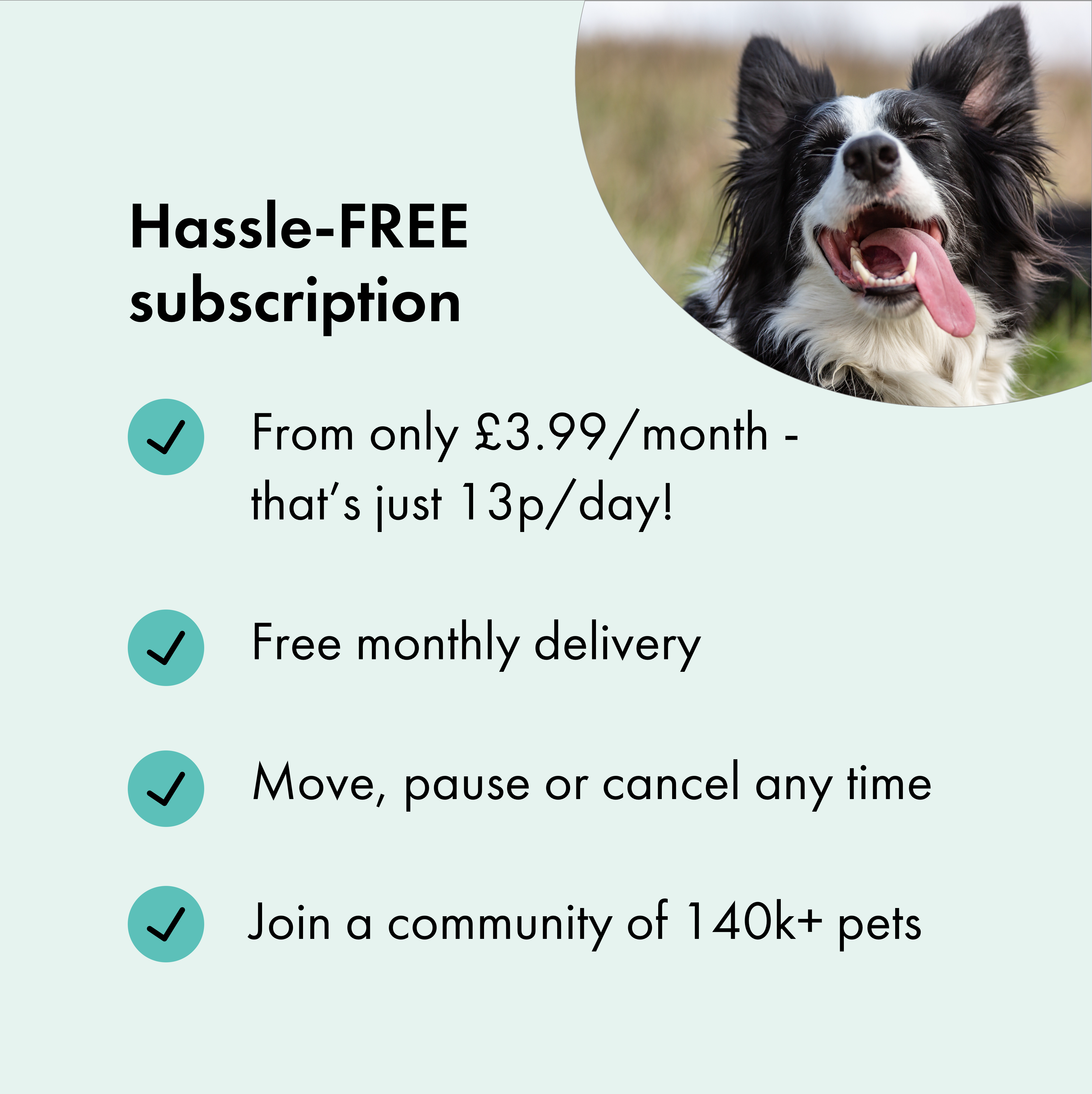 Itch Dental Treats for Dogs, subscription benefits