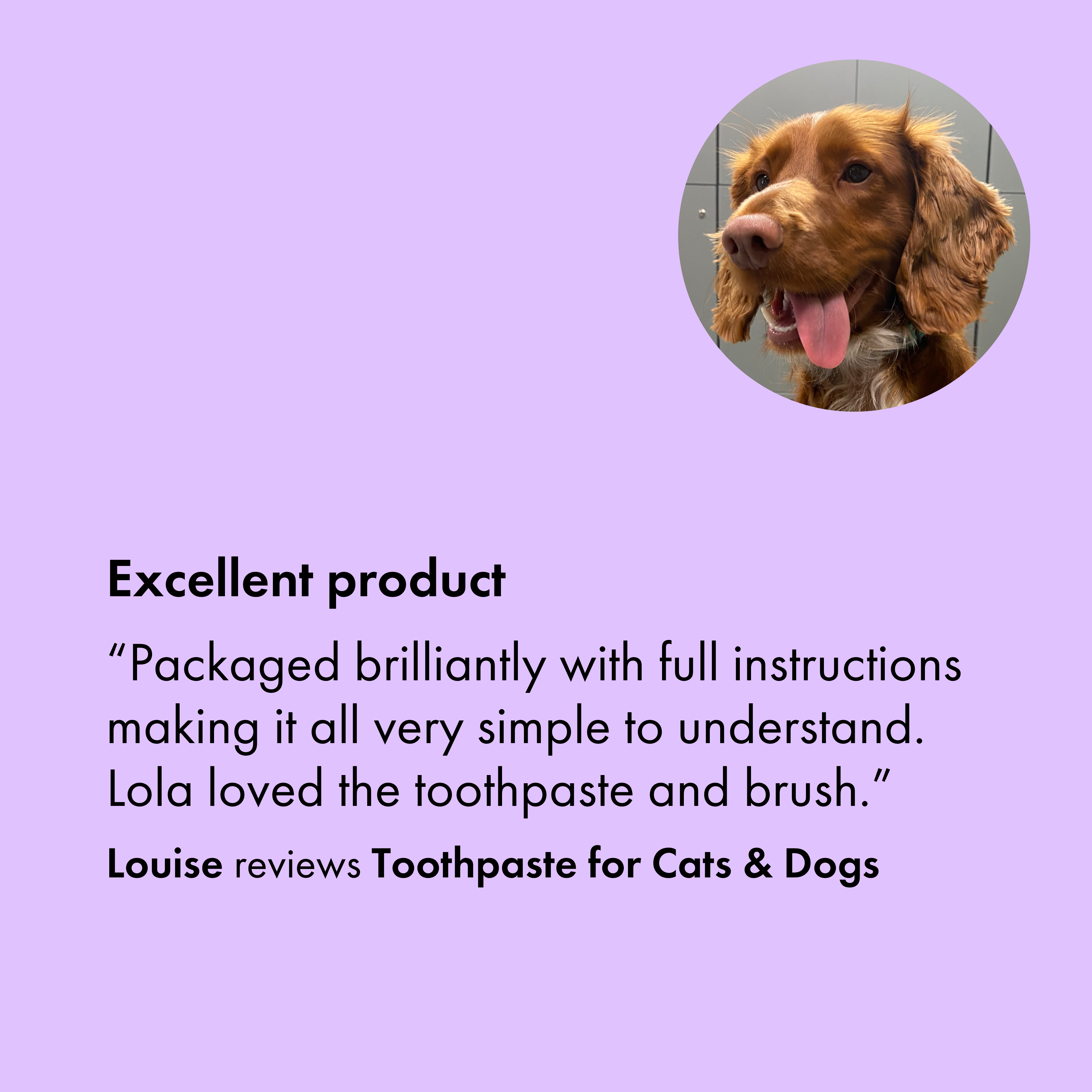 Itch Dental Toothpaste, Toothpaste for cats and dogs, packaging, customer review