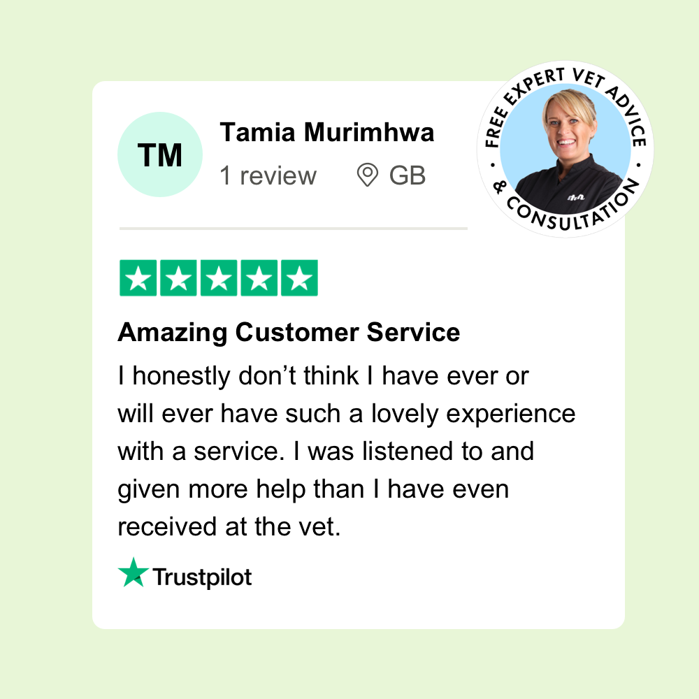 A 5 star review from an Itch customer that reads 'I was listened to and given more help than I have ever even received at the vet.'
