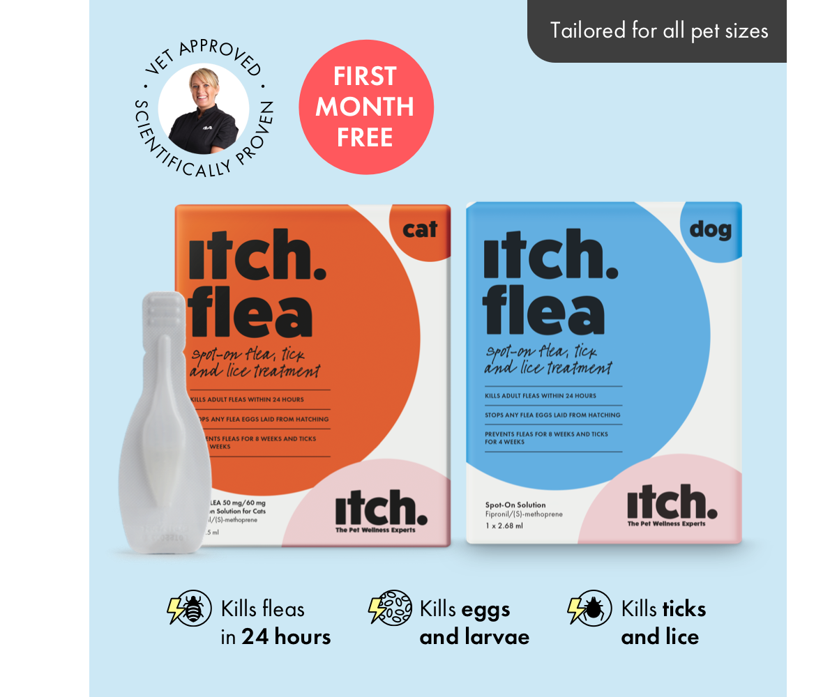 Itch Flea and Tick Treatment for Cats and Dogs.