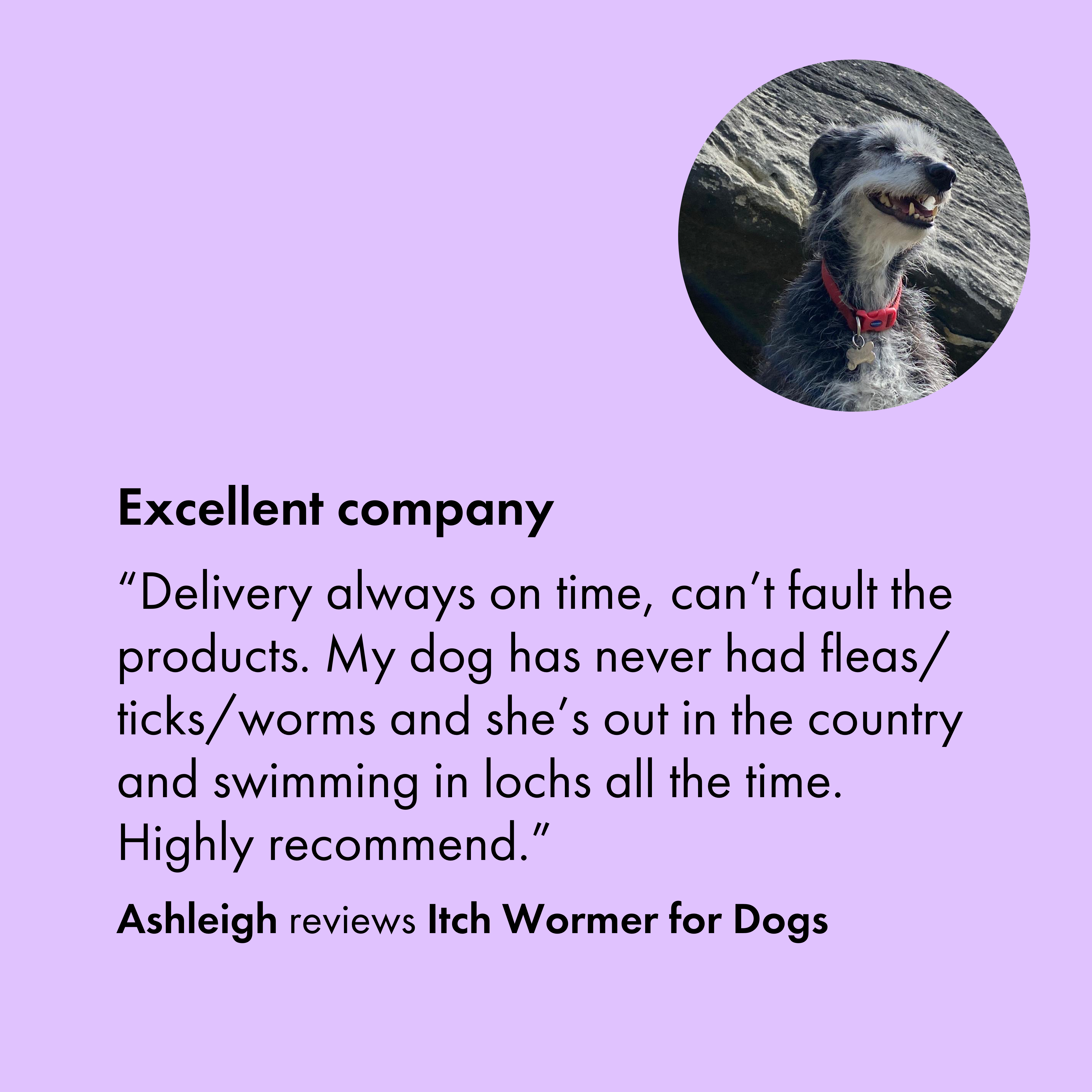 Itch Wormer Tablet, Double-Action worming tablets for Cats & Dogs - Customer review