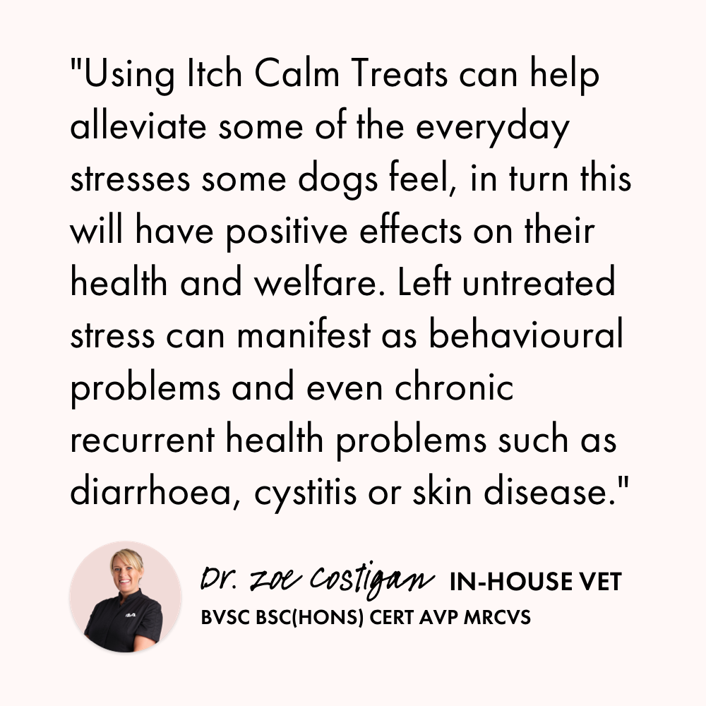 Itch Calming Treats for Dogs, vet quote