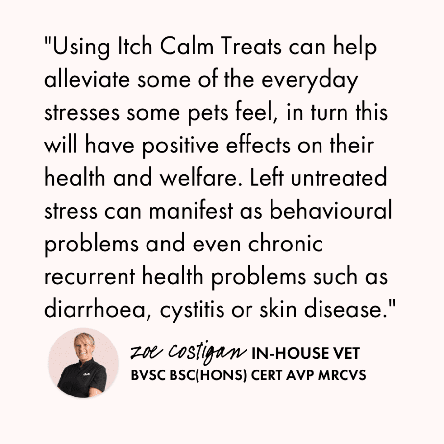 Itch Take it Easy, Calming treats for cats and dogs, vet quote