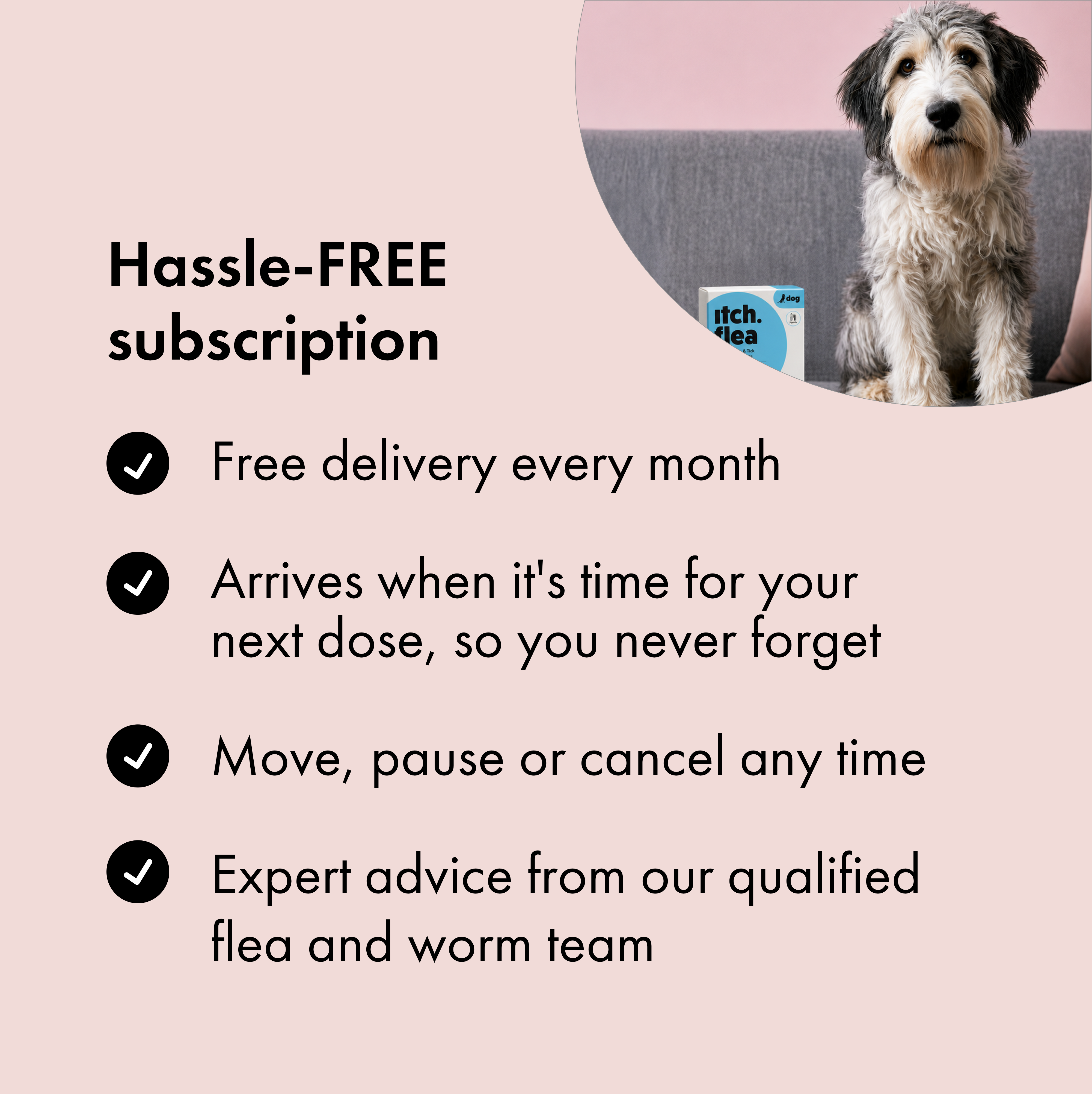 Benefits of subscribing to Itch Flea & Tick Treatment for Dogs. 