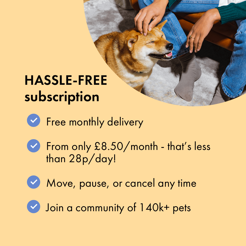 Flea Treatment for Dogs Kills Fleas, Eggs and Ticks Itch