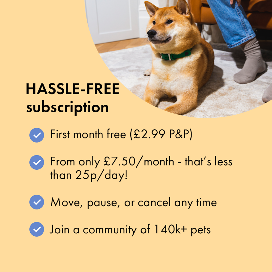 Flea Treatment Flea Treatment Subscriptions for Dogs Itch