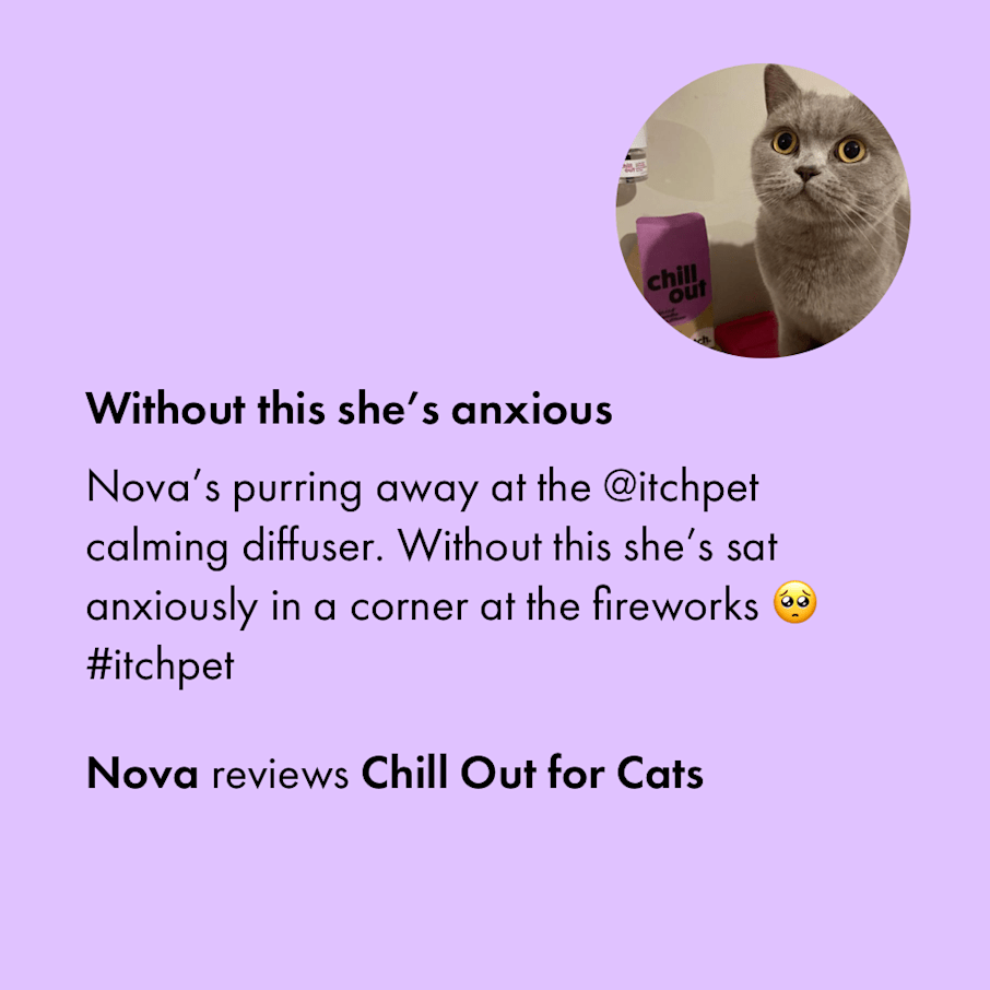 Cat hot sale calming diffuser