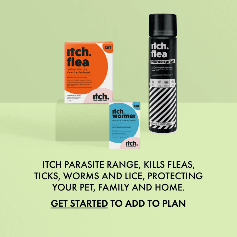 Itch parasite range, kills fleas, ticks, worms and lice, protecting your pet, family and home. Group image of Itch Flea for Cats box, Itch Wormer for Dogs box and can of Itch Flea Home Spray. 
