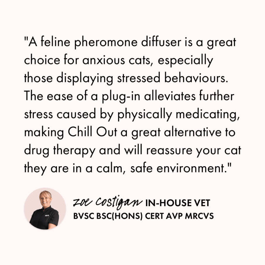 Itch Chill Out - Calming pheromones plug-in diffuser for cats - vet quote