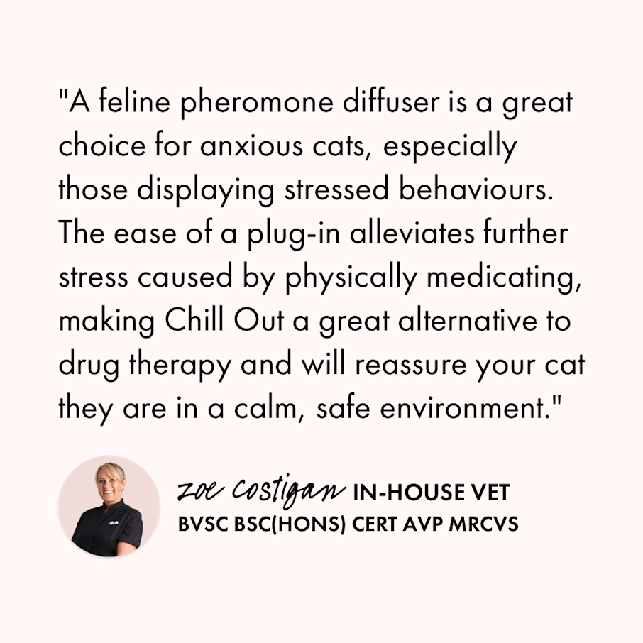 Plug In Cat Calming Pheromone Diffuser Vet Approved Itch