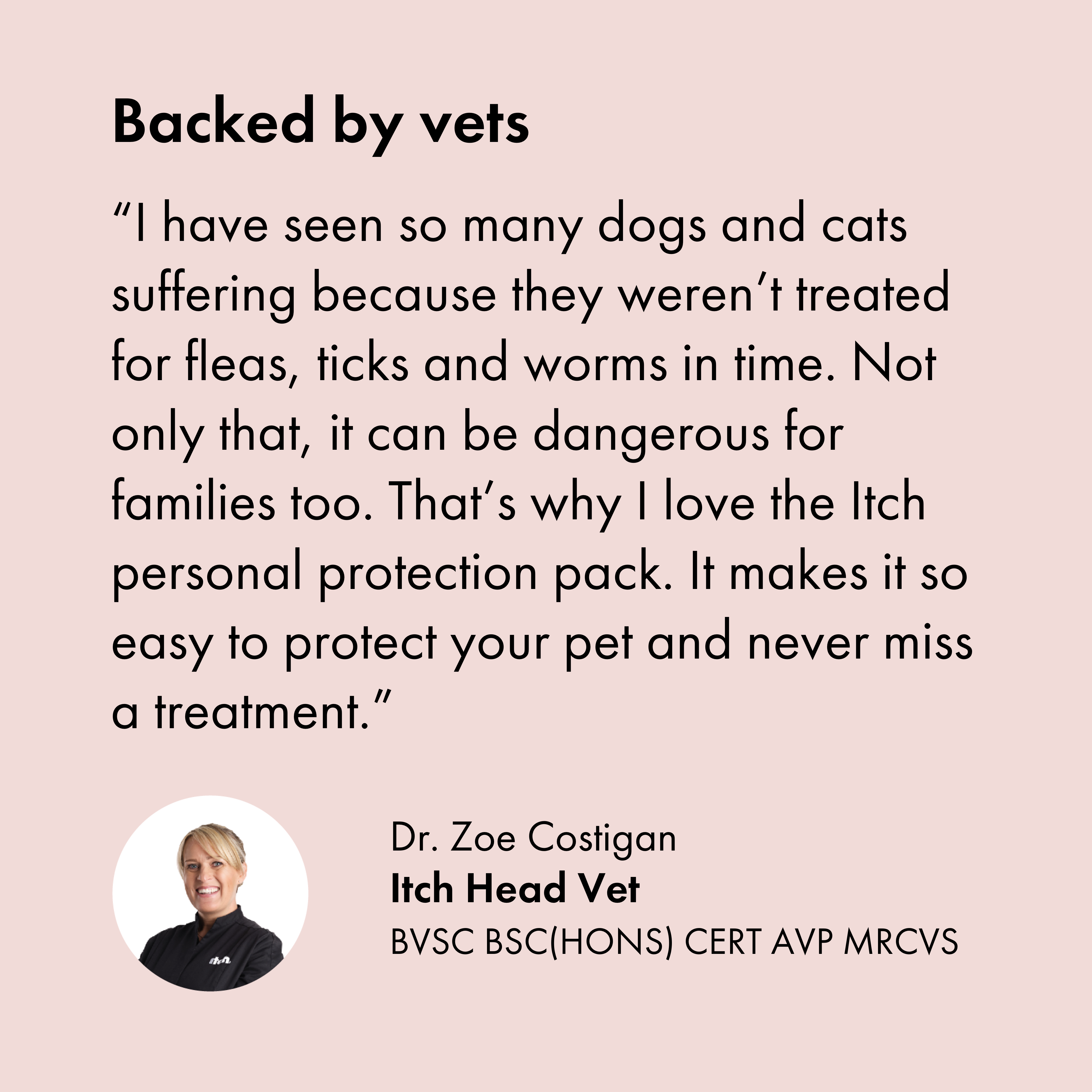 Itch Pet vet recommends monthly flea and worm treatments for cats