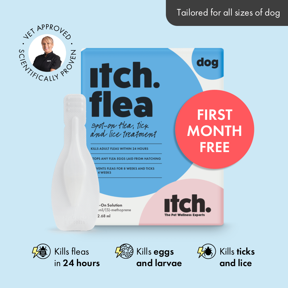 Flea Treatment for Dogs Kills Fleas, Eggs and Ticks Itch