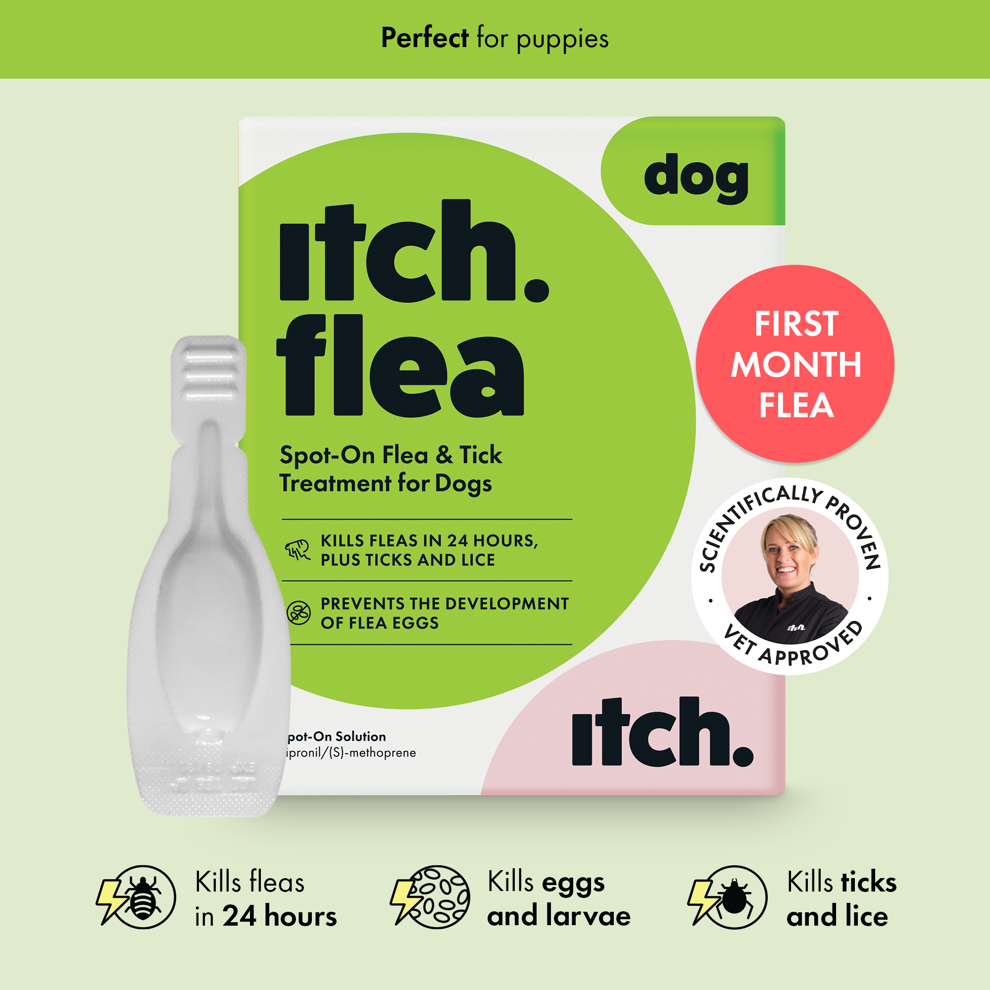 Itch Flea Spot-On Treatment for Dogs, image of Itch Flea for Small Dogs box and pipette. Vet approved icon and first month free icon. 