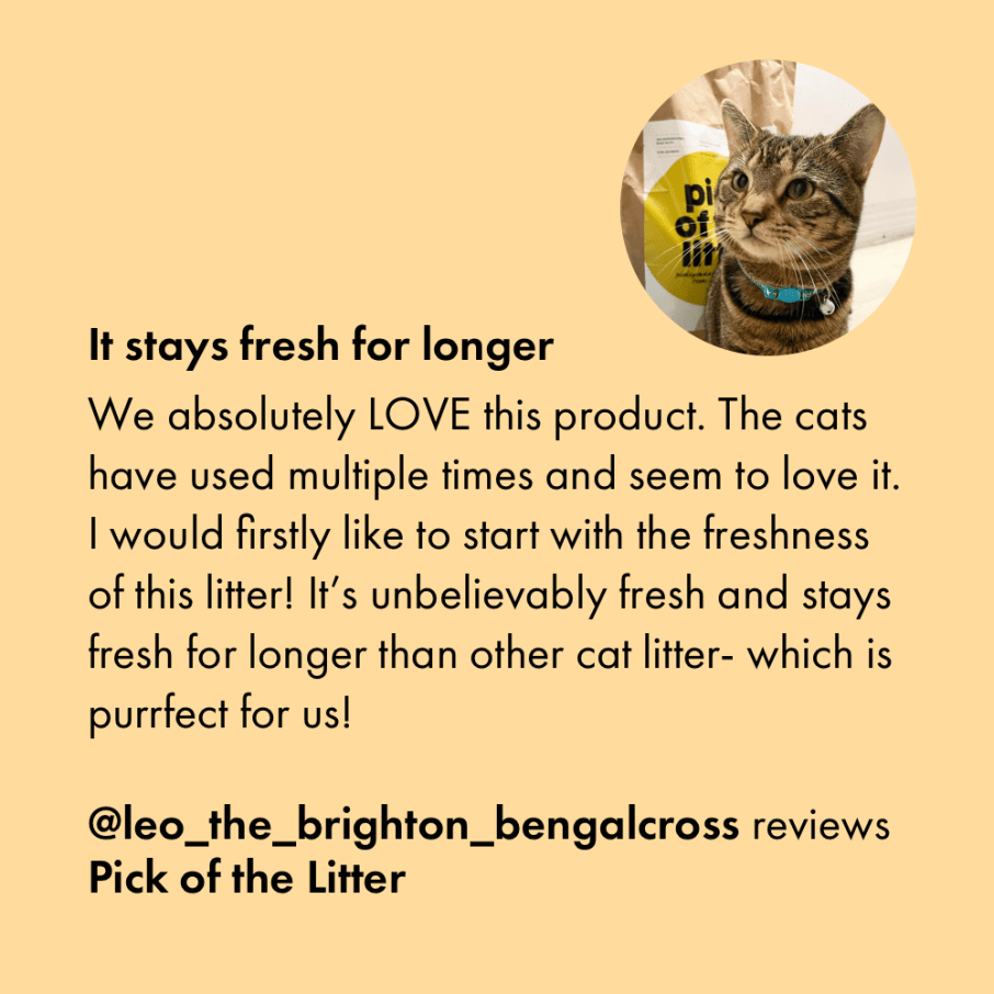 Itch Pick of the Litter - Biodegradable Cat Litter, image of cat with cat litter and customer review