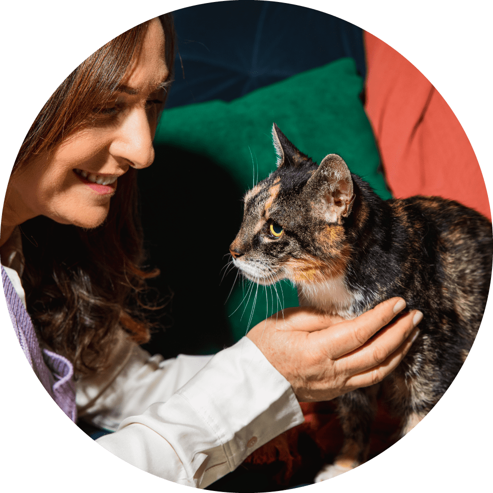 Itch Wormer, Double Action Worming Tablets for Cats, image of cat with owner
