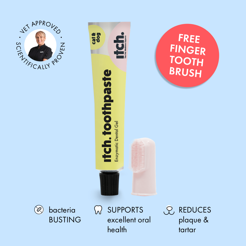 Toothpaste for Pet Cats Dogs Dental Paste Itch