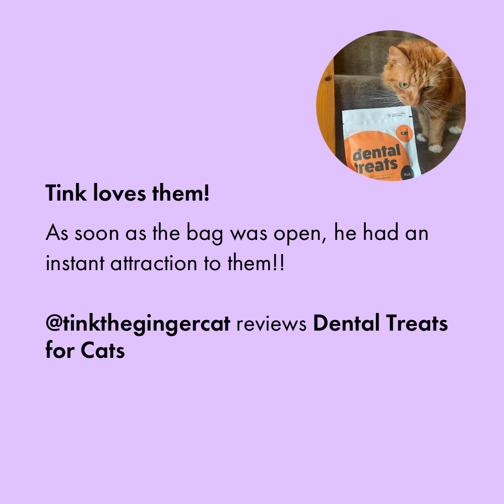 Itch Dental Treats for Cats, customer review